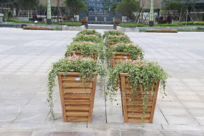 這三種花箱，才能做到免維護(hù)，你選對了嗎？