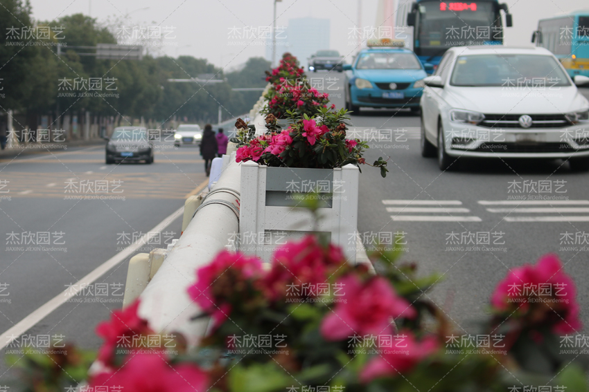 橋梁花箱常規(guī)款式、尺寸