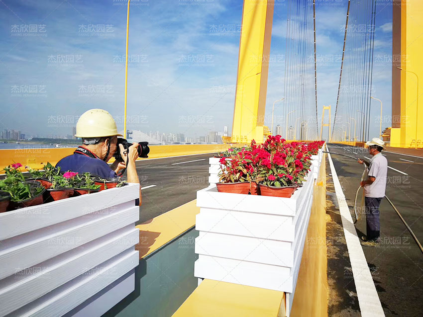 花箱批發(fā)怎么找廠家？