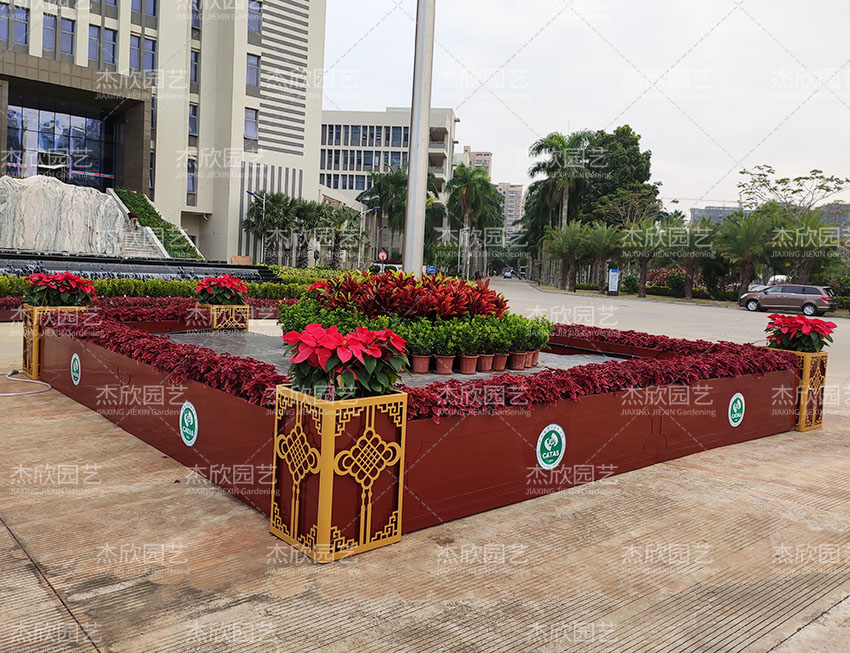 杰欣花箱全國游！