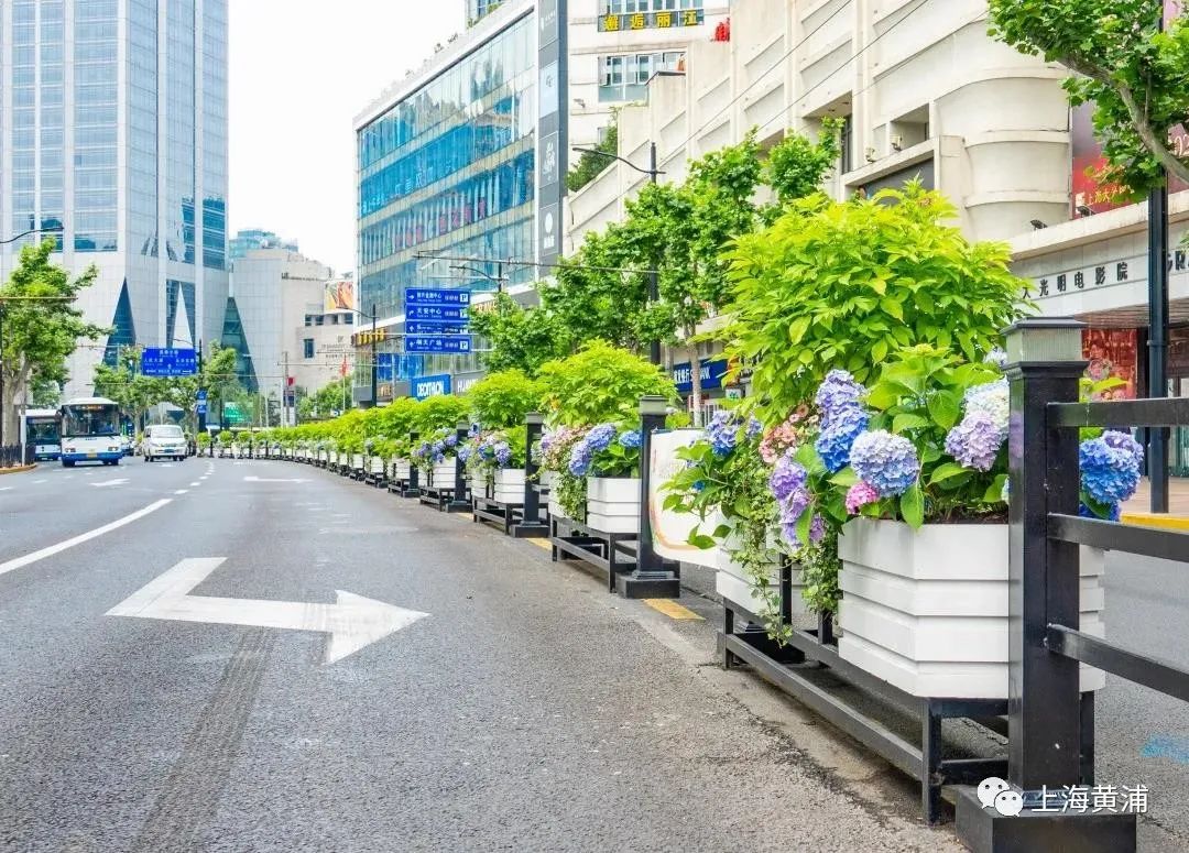 上?；ㄏ浠ɑ軜?biāo)桿作品效果展示