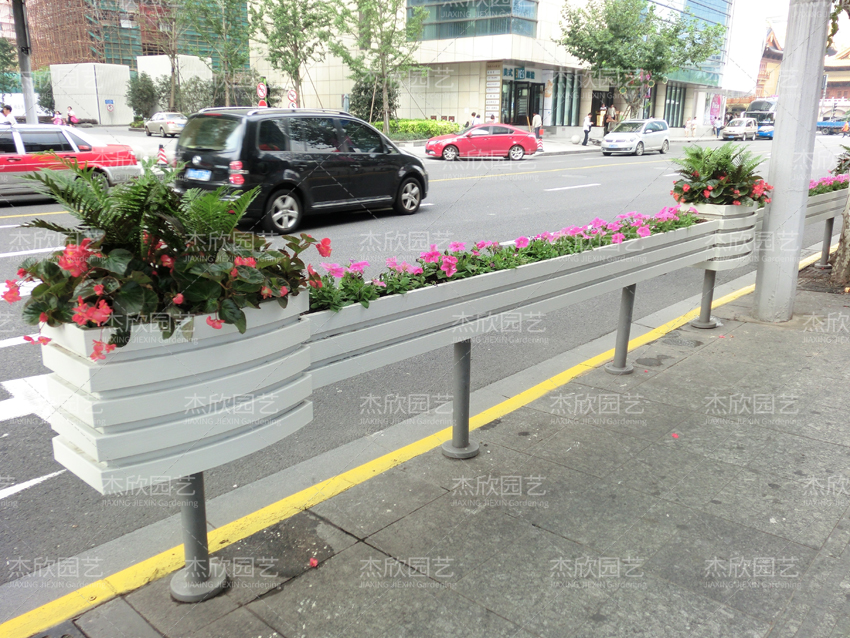 花箱適合種什么植物？