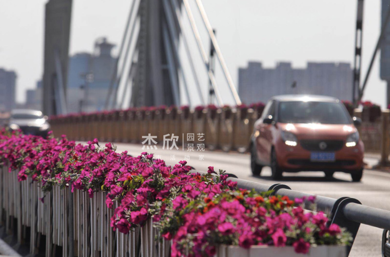 花箱尺寸如何確定？